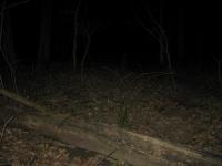 Chicago Ghost Hunters Group investigates Bachelors Grove (95).JPG